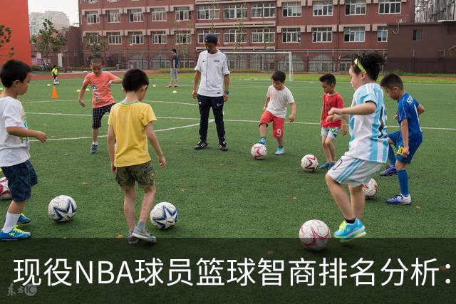 现役NBA球员篮球智商排名分析：约基奇居首，詹姆斯排名第二